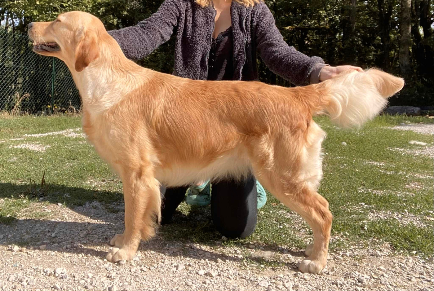 URBANE sera saillie en Mars 2026