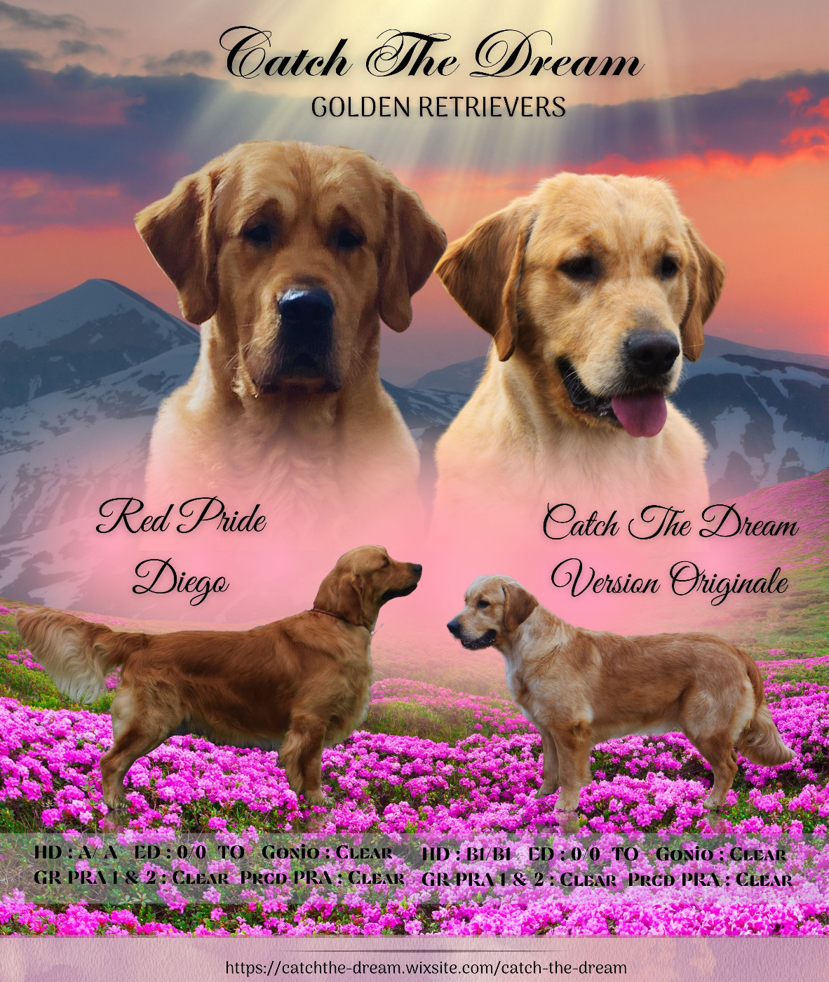 VOGUE sera mariée en JUIN 2026